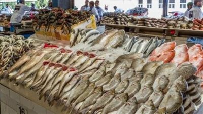 أسعار الأسماك والجمبري اليوم الأحد 28 ديسمبر 2025: 