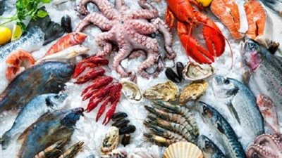 البربوني بـ 240 جنيهًا.. أسعار الأسماك والجمبري اليوم الثلاثاء 30 ديسمبر 2025 في سوق العبور