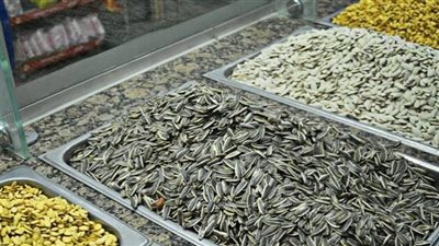 أضرار الإفراط في أكل اللب في رأس السنة