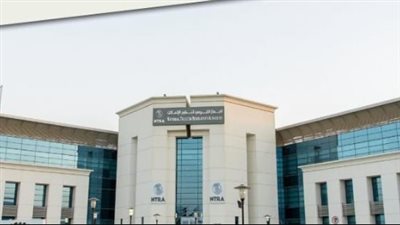 لمستخدمي المحمول.. دليلك للتعامل مع توقف خدمات الجهاز القومي للاتصالات مؤقتًا