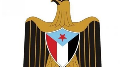 الإعلان الدستوري الجنوبي: خارطة طريق 