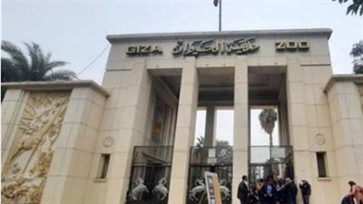 موعد افتتاح حديقة الحيوان بالجيزة 2026.. تطورات عالمية وربط تاريخي بالأورمان