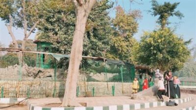 هل سيتم رفع أسعار تذاكر حديقة الحيوان 2026؟.. مصادر تجيب وتوضح حقيقة الأمر.