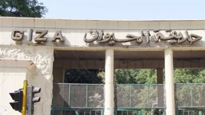 خريطة حديقة الحيوان الجديدة.. عروض حية مع أسود البحر وقبة زجاجية للميركات