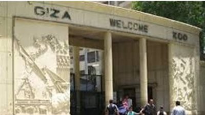 مغامرات الليمور وتجربة السهر مع الحيوانات.. حديقة الجيزة تبهر العالم بتصميمها الجديد