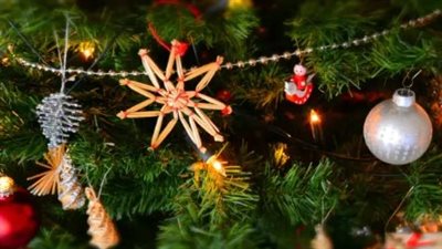 أول عطلة في العام الجديد.. تفاصيل إجازة 7 يناير 2026 وقرار مجلس الوزراء 