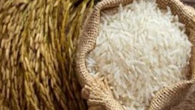 أسعار الأرز الشعير اليوم الأحد 4 يناير 2026.. استقرار ملحوظ وسعر الطن بالأسواق