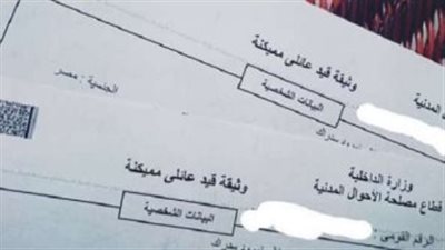 استخراج القيد العائلي 2026.. دليلك للحصول على الوثيقة من ماكينات السجل الذكي في دقائق