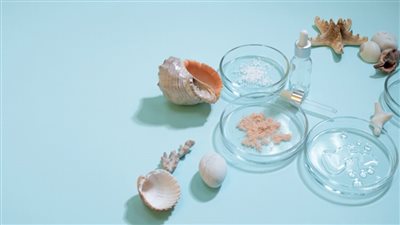 الكولاجين البحري مقابل الكولاجين البقري.. أيهما أفضل للجلد والمفاصل؟