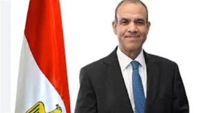 القاهرة ودبلن ترسمان خارطة طريق جديدة للتعاون الاستراتيجي.. تفاصيل لقاء عبد العاطي وماكنتي