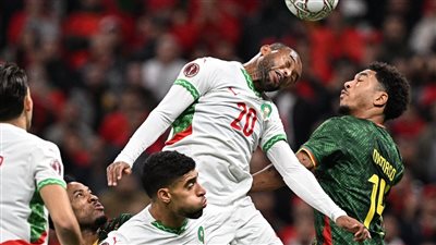 كاف يفتح تحقيقا في أحداث مباراتي الكاميرون والمغرب والجزائر ضد نيجيريا