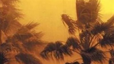 مع تقلبات الطقس.. إليك السنن النبوية المهجورة عند هبوب الرياح الشديدة والأدعية المستجابة