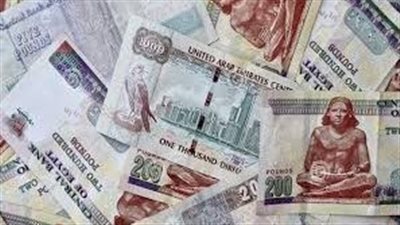 سعر الدرهم الإماراتي في البنك المركزي المصري