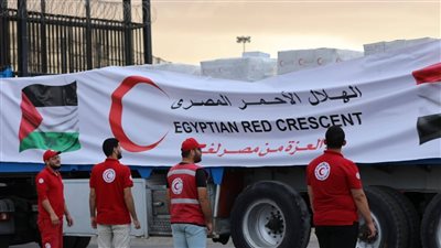 وزيرة الدفاع الأيرلندية تتفقد مخازن الهلال الأحمر بالعريش وتثمن الجهود المصرية لإغاثة سكان غزة