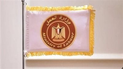 بشرى لشباب بورسعيد.. 77 فرصة عمل بقطاع الموانئ برواتب مجزية وتخصصات فنية متنوعة