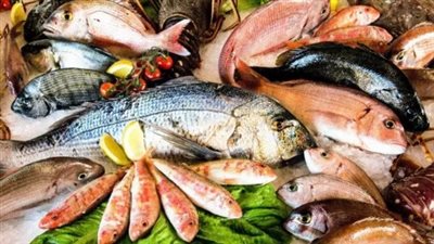 استقرار أسعار الأسماك والجمبري اليوم الأربعاء 14 يناير 2026 في سوق العبور.. 