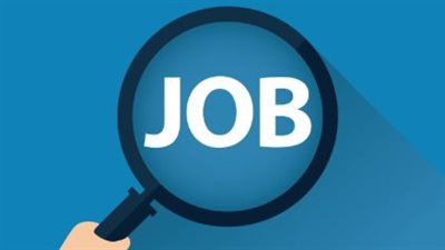 إطلاق مسابقة كبرى لشغل 119 وظيفة قيادية في المحليات... خريطة الوظائف المطلوبة في المسابقة