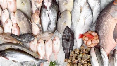 سوق العبور يكشف تحديثات أسعار السمك اليوم.. قائمة الأسعار الكاملة للمستهلك في مختلف المحافظات