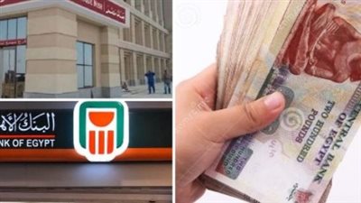 دليل المدخرين في 2026.. كيف تستثمر أموالك في الشهادة البلاتينية بعد قرارات البنك المركزي الأخيرة؟