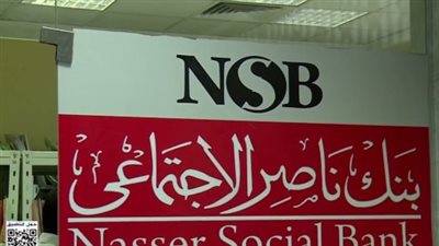 بعد تحديث ضوابط 2026.. تعرف على الفئات المستحقة لمساعدات بنك ناصر وشروط الاستحقاق