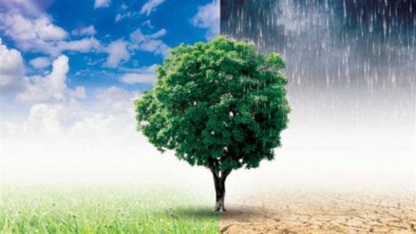 كيف يرى الشارع المصري أزمة المناخ وتكلفة التحول للأخضر؟