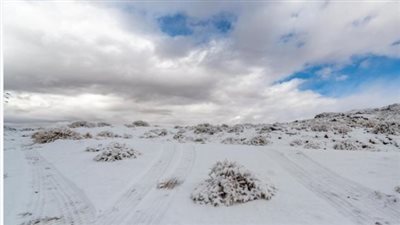 بعد تسجيل 3 درجات بتبوك.. تنبيهات من المركز الوطني للأرصاد لسكان المناطق الشمالية