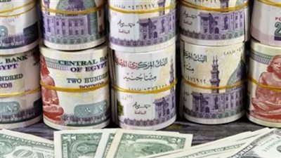 سعر الدولار اليوم الثلاثاء 20 يناير 2026.. استقرار ملحوظ في البنوك المصرية