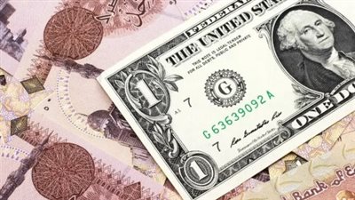 الدولار في البنك المركزي المصري.. ثبات السعر الرسمي واستقرار التدفقات النقدية