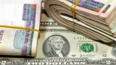 سعر الدولار مقابل الجنيه المصري 2026.. هدوء في الطلب وثبات في الأسعار الرسمية
