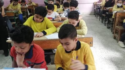 لينك نتيجة صفوف النقل بالرقم القومي 2026 عبر بوابة التعليم الأساسي