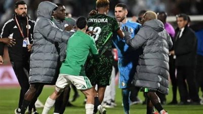 عقوبات بالجُملة على الجزائر بعد أحداث نيجيريا بأمم إفريقيا.. وإيقاف زيدان