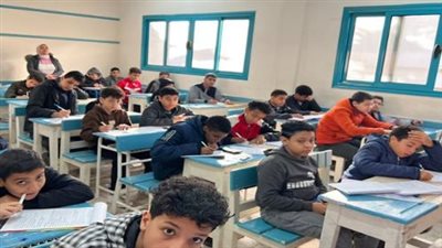 كيف تتجنب التحويل لنظام المنازل؟ نصائح التعليم بشأن استمارة الثانوية العامة 2026