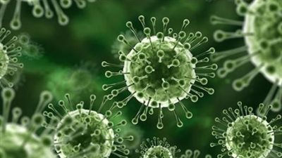 شبح فيروس نيباه يطارد آسيا: تحركات تايوانية عاجلة لتشديد الرقابة الصحية بعد تفشي الهند 2026