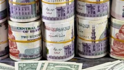 الدولار يكسر حاجز الـ 47 جنيهًا.. قراءة في أسباب هبوط العملة الخضراء وتوقعات الخبراء لما تبقى من 2026