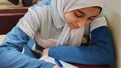 بوابة محافظة الجيزة لنتائج الامتحانات.. دليل الطالب وولي الأمر الشامل