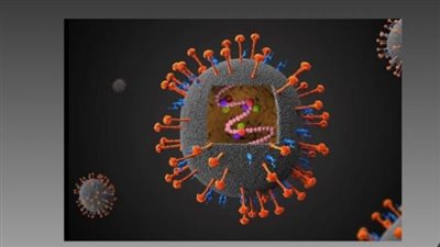 من الخفافيش إلى البشر.. رحلة فيروس نيباه وكيفية تجنب العدوى في 2026