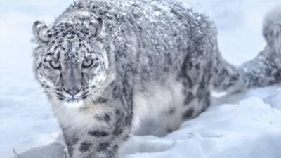 بأعجوبة من الموت.. كيف أنقذت 