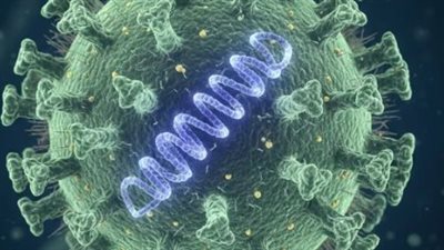 منظمة الصحة العالمية تطمئن العالم: خطر تفشي فيروس نيباه 