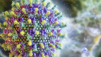 فيروس نيباه القاتل.. لماذا تشعر منظمة الصحة العالمية بالتفاؤل رغم غياب اللقاح؟