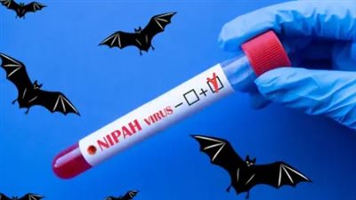 فيروس نيباه.. الموت الصامت الذي يحمله الخفاش يثير استنفارًا طبيًا في جنيف