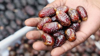 استعدادًا للشهر الكريم.. أسعار التمور اليوم في الأسواق تبدأ من 16 جنيهًا وتصل لـ 360 جنيهًا