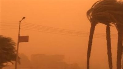 دليل المزارع في شهر أمشير: كيف تتأثر المحاصيل وسنابل القمح برياح فبراير المتقلبة؟