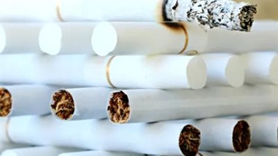 دليلك الشامل لأسعار السجائر المحلية والأجنبية والتبغ المسخن في مصر لعام 2026