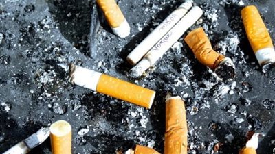 توقعات سوق التبغ في 2026: استقرار المعروض وسلسلة الإمداد تنهي أزمات نقص السجائر