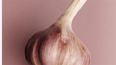 العلاقة بين صحة الأمعاء والمناعة.. لماذا يعد الزبادي والبروبيوتيك ضرورة يومية؟