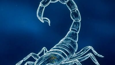 برج العقرب على الصعيد المهني: فرصة ترقية تلوح في الأفق اليوم الأربعاء