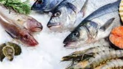 بورصة الأسماك والجمبري الآن: البلطي الممتاز بـ 67 جنيهًا والجامبو يصل لـ 1200 جنيه