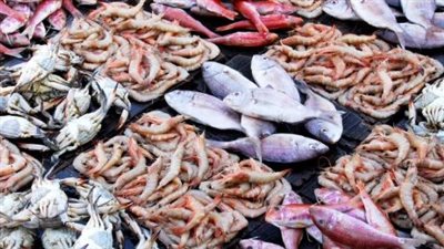 أسعار السمك اليوم في مصر: استقرار القاروص والدنيس وتفاصيل أسعار الماكريل المجمد