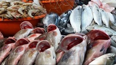 أسعار الأسماك المجمدة والبربون والمرجان: قائمة شاملة بتحديثات يوم الخميس 12 فبراير