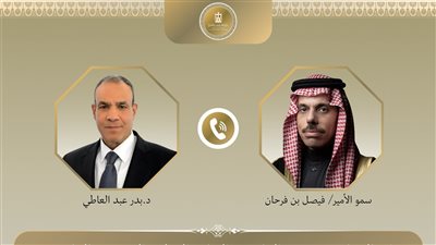 وزير خارجية مصر والسعودية يبحثان جهود احتواء الأزمات في منطقة الشرق الأوسط